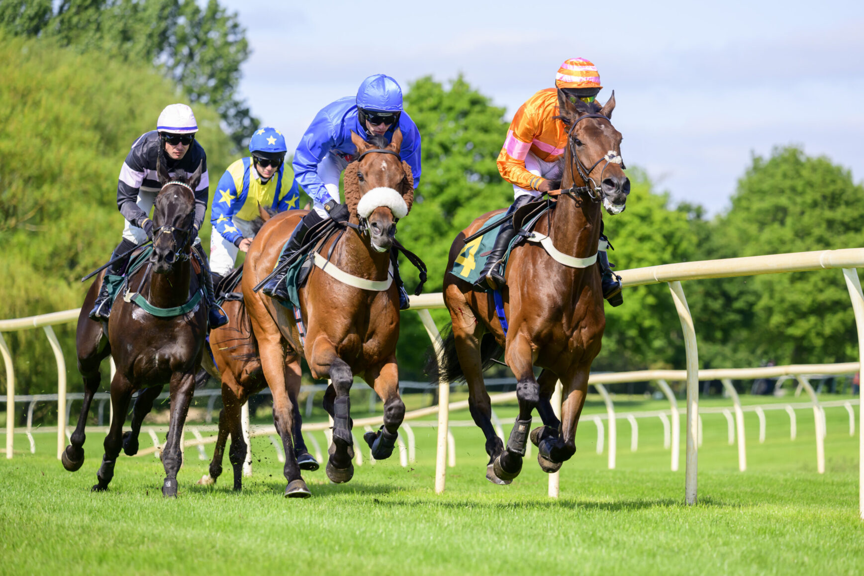 Weathering the Storm: How Weather Conditions Impact Horse Racing Outcomes