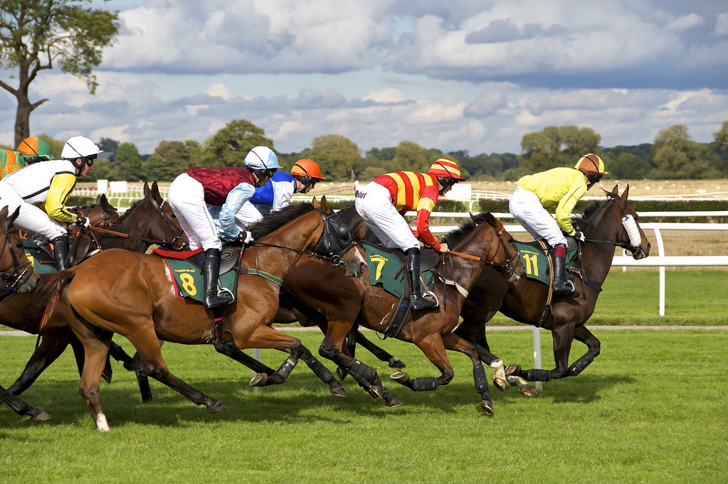 Top Horse Racing Platforms in 2025: A Comparative Guide