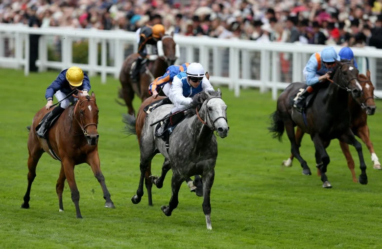 Harnessing AI and Big Data: The Future of Horse Racing Predictions